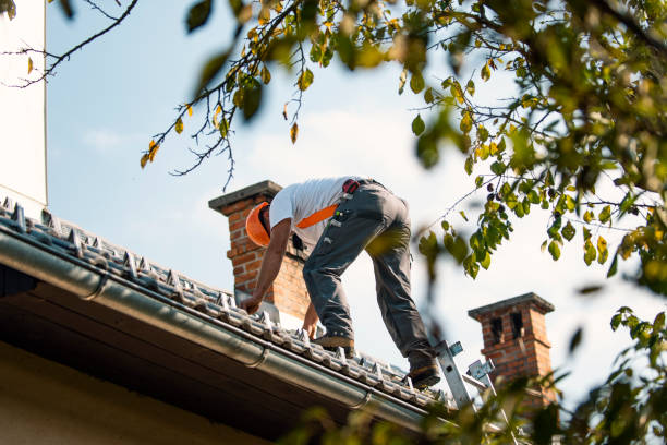 Best Gutter Installation and Roofing  in Eagle, WI