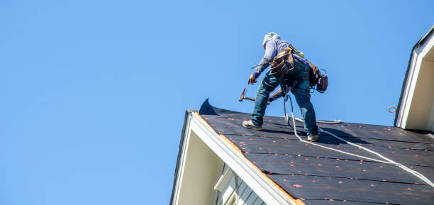 Roof Gutter Cleaning in Eagle, WI